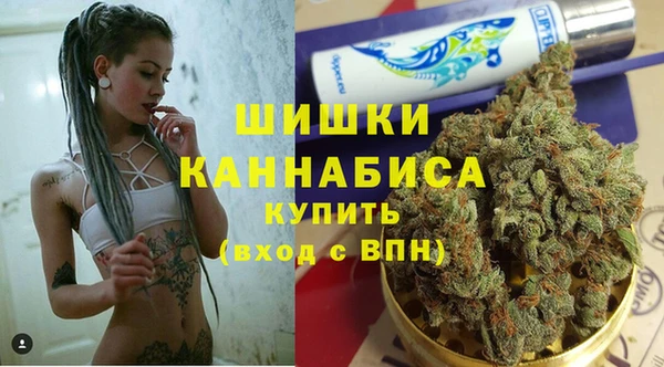 Альфа ПВП Инта