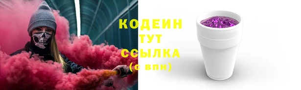 амф Инсар