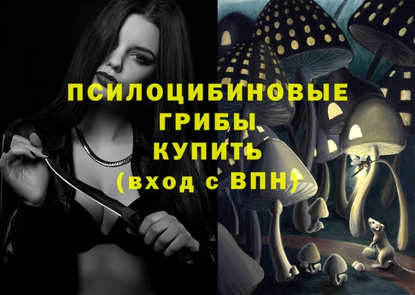 Альфа ПВП Инта