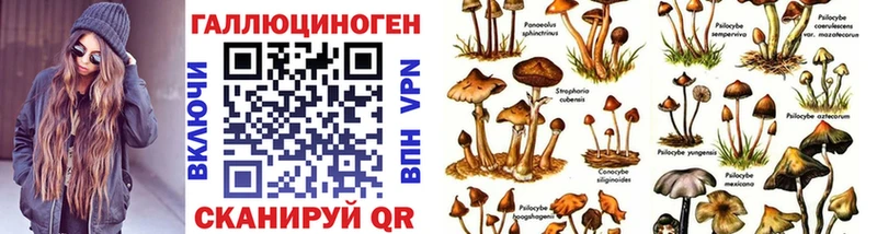 Галлюциногенные грибы Psilocybine cubensis  Купить закладки  Богородск 